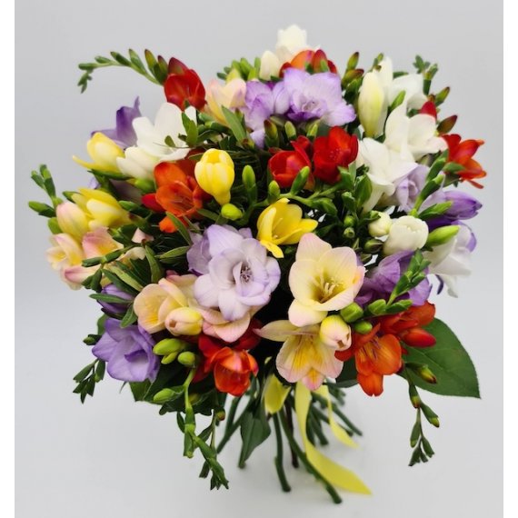 Buchet 29 Frezii Colorate 