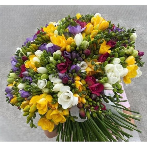 Buchet 101 Frezii Colorate